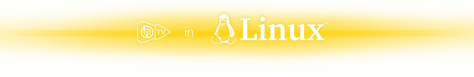 iboPlayer für Linux